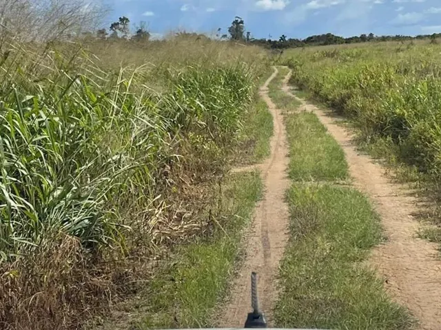 Imagem: 295 Alqueires em Altamira Pará Pronta R$