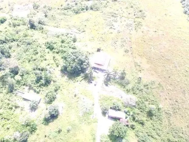 Imagem: Fazenda 102 Hectare em Vigia 80 Aberta