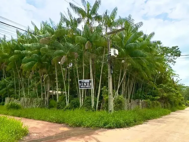 Imagem: Sitio À Venda com 2500M2 - santa Bárbara
