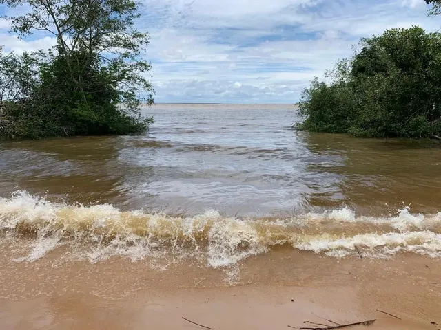 Imagem 10: Vendo Casa na Ilha de Trambioca