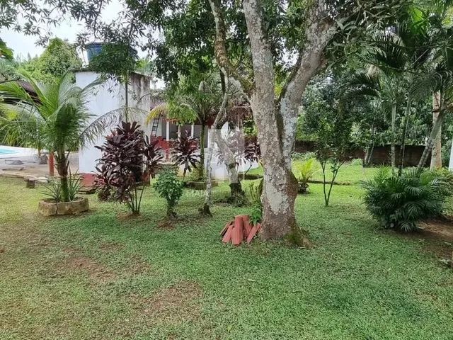 Imagem 13: Vendo Sítio Solar dos Pinheiros - Benevides