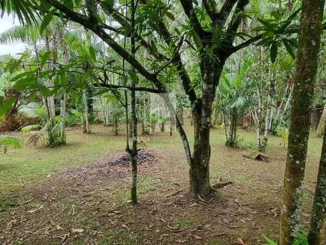 Imagem 6: Vendo Sítio Solar dos Pinheiros - Benevides
