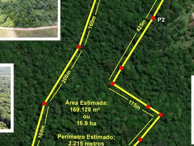 Imagem 5: Benfica-Vendo Área 16,9 Hectares