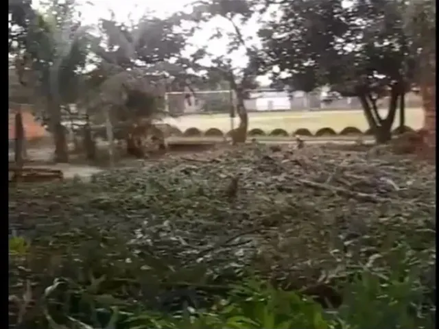Imagem: Venda Ou Troca Terreno em Benevides