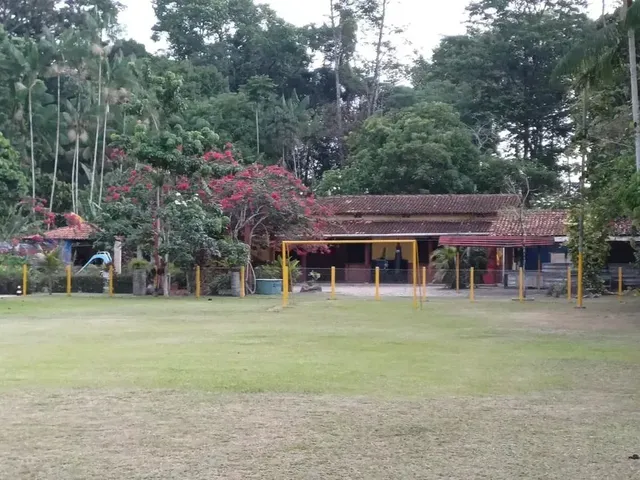 Imagem 9: Imperdível Chacaras de 3700M2 em Centro - Benevides - Pa
