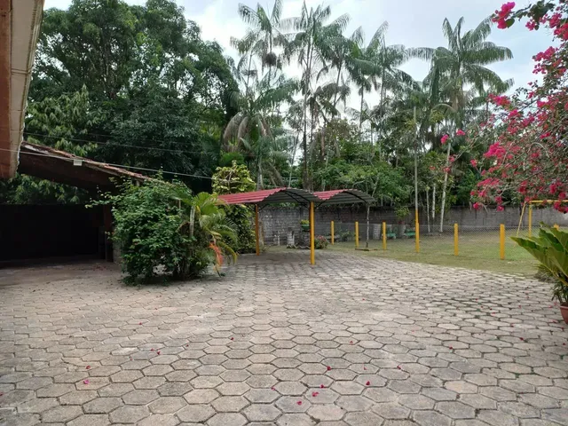 Imagem 16: Imperdível Chacaras de 3700M2 em Centro - Benevides - Pa