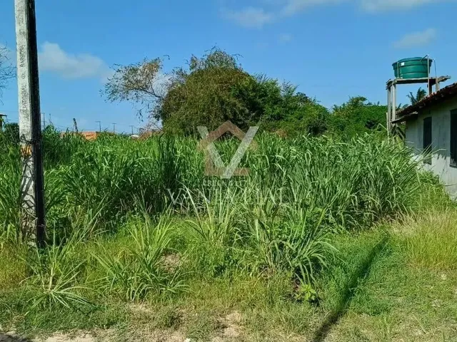 Imagem 3: Terreno em Trevo - Salinópolis