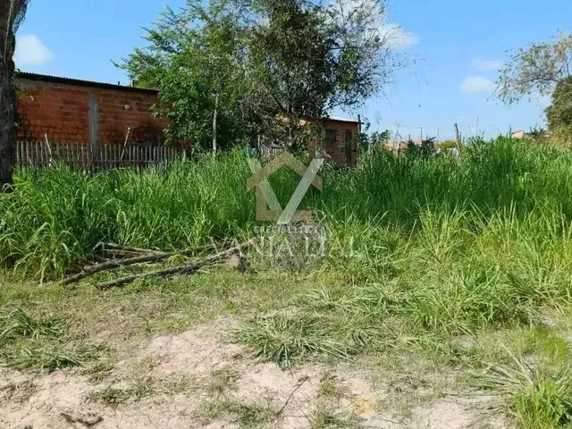 Imagem 6: Terreno em Trevo - Salinópolis