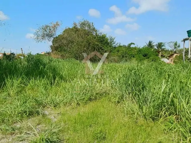 Imagem 2: Terreno em Trevo - Salinópolis