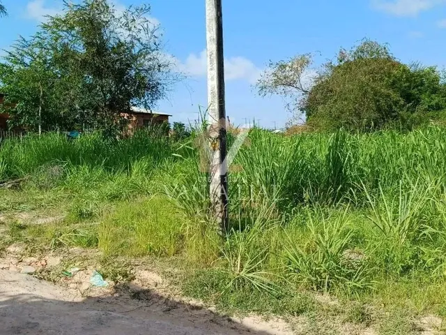 Imagem 5: Terreno em Trevo - Salinópolis