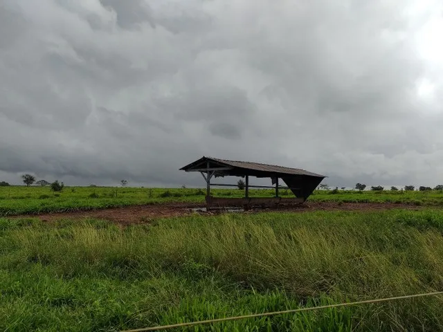 Imagem: 330 Alqueires no Pará por 24Milhões de