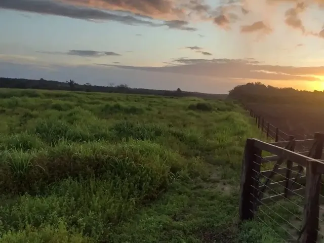 Imagem: Fazenda para Venda Tem 290 Hectares, Planos