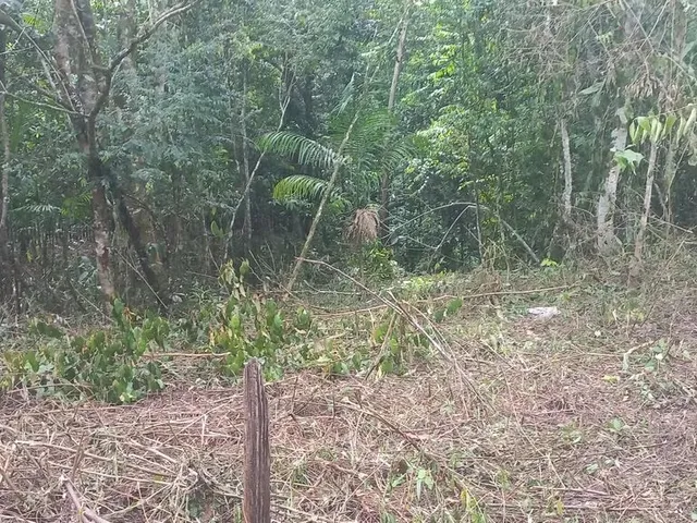 Imagem: Terreno em Benevides com Olha D gua nos