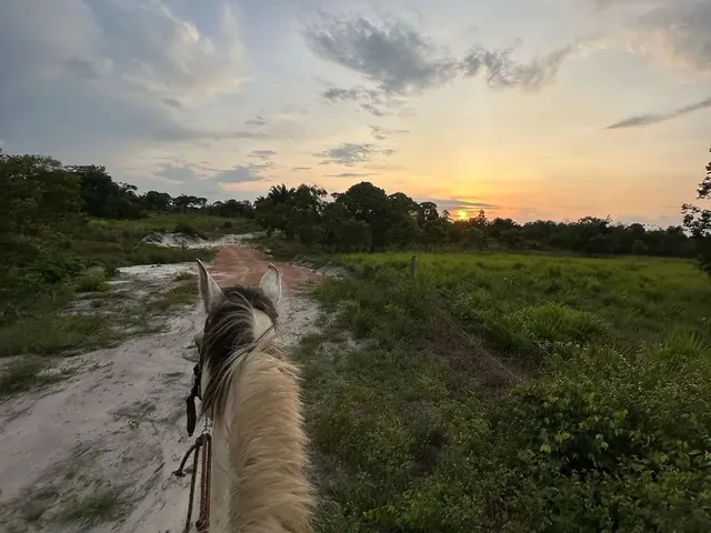 Imagem 2: Fazenda santa Rita (Documentada