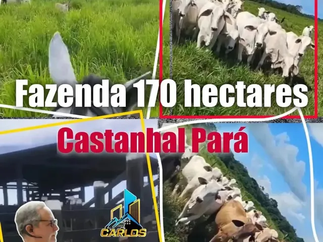 Imagem: Fazenda para Venda Possui 170 Hectares