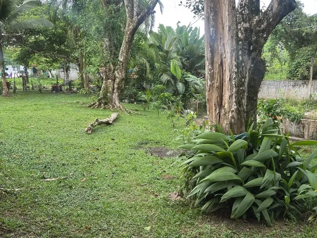 Imagem 11: Chácara À Venda em Benevides