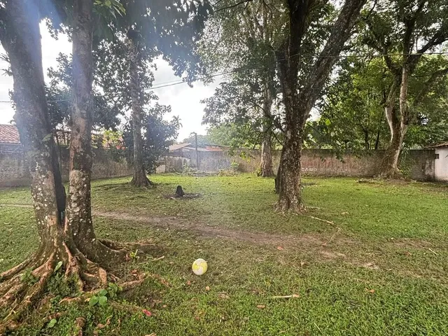 Imagem 14: Chácara À Venda em Benevides