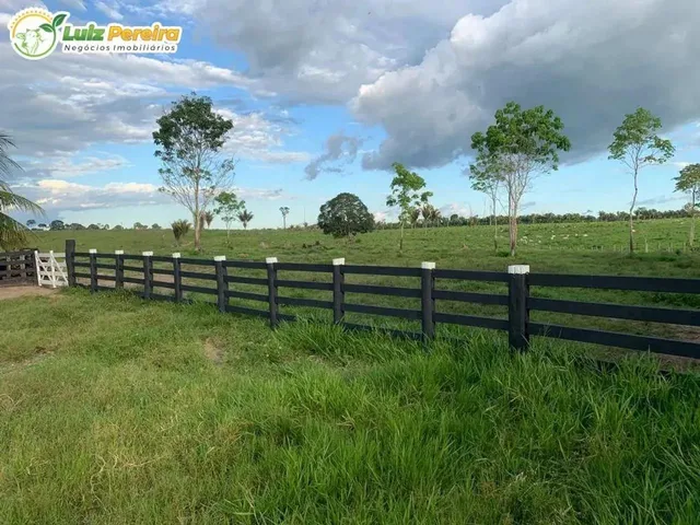 Imagem: Fazenda À Venda em Pacaja Pa 387,2 Hectares