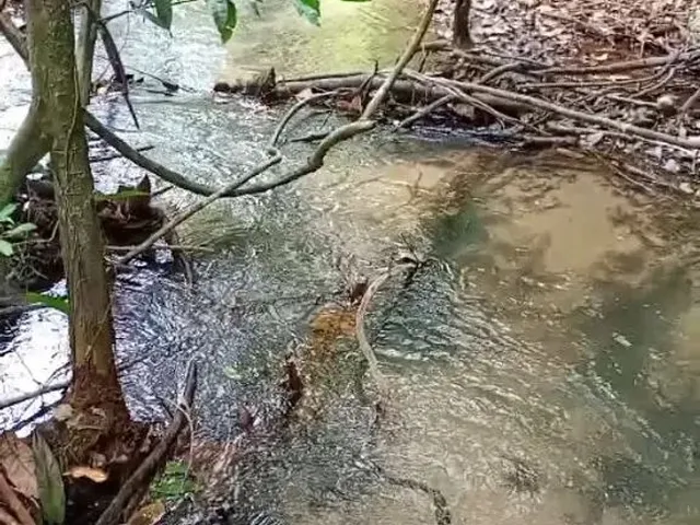 Imagem 1: Vendo Este Terreno em Jambu Açu com Igarapé