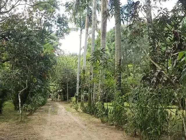 Imagem 5: Vendo Sítio Marituba 2.275M2