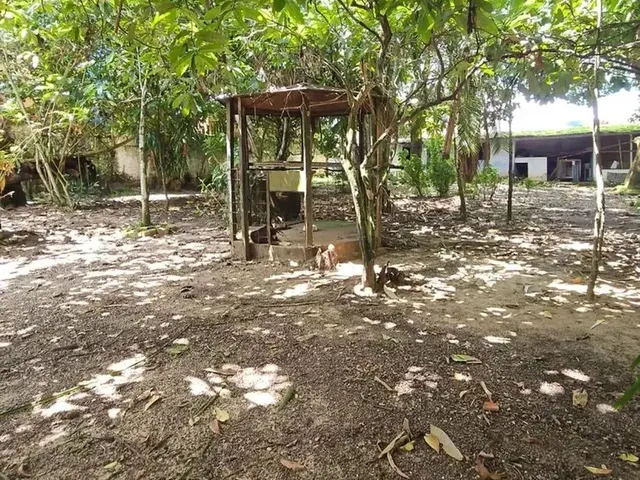 Imagem 10: Vendo Sítio Marituba 2.275M2
