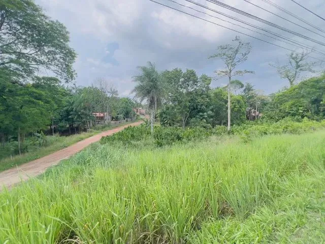 Imagem 4: Terreno, 2.500M², na Br, Próx. a Estrada de Mosqueiro