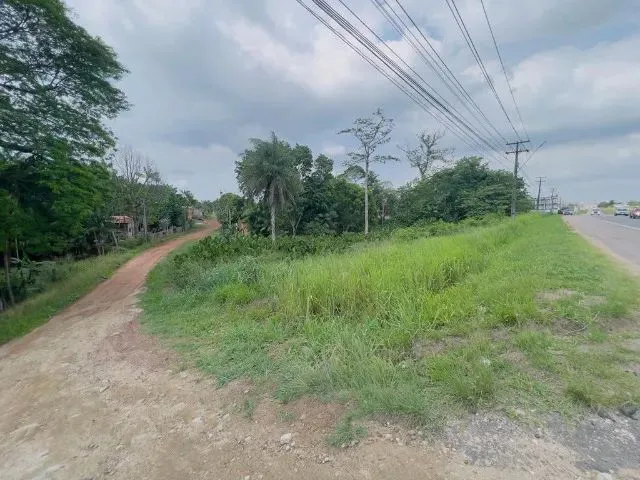 Imagem 5: Terreno, 2.500M², na Br, Próx. a Estrada de Mosqueiro