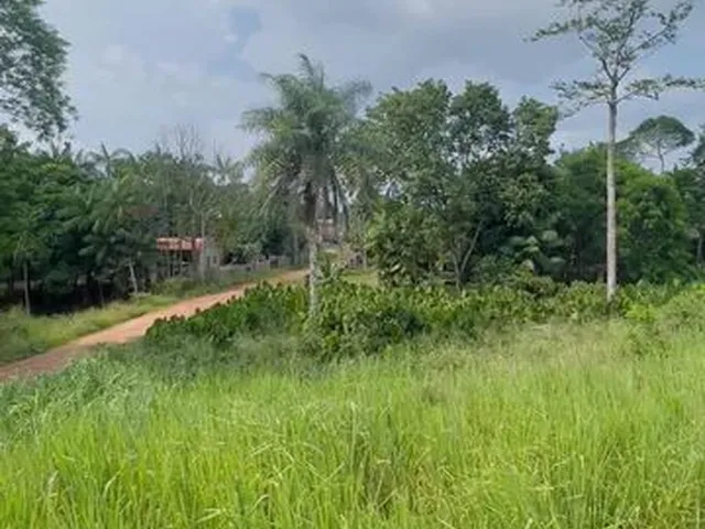 Imagem 8: Terreno, 2.500M², na Br, Próx. a Estrada de Mosqueiro