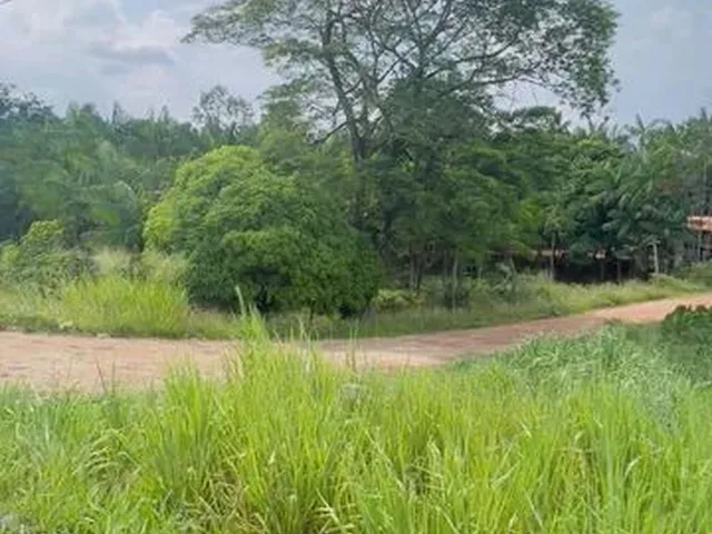 Imagem 6: Terreno, 2.500M², na Br, Próx. a Estrada de Mosqueiro