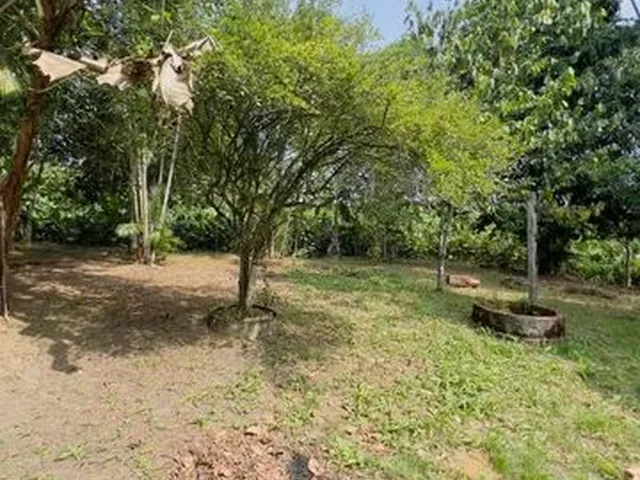 Imagem 14: Terreno, 2.500M², na Br, Próx. a Estrada de Mosqueiro