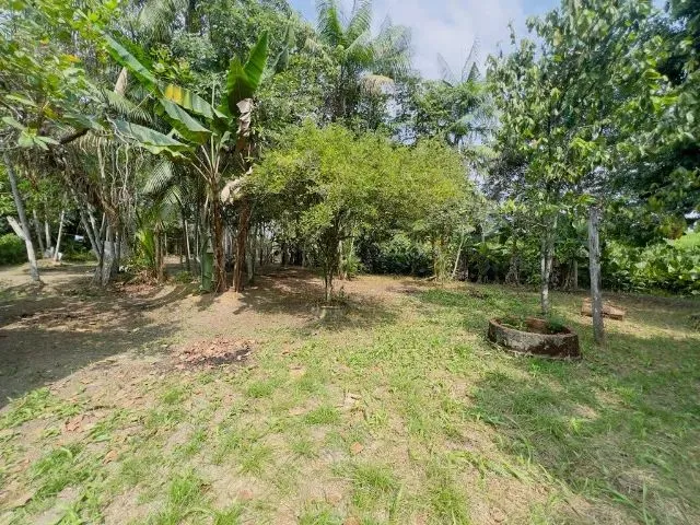 Imagem 11: Terreno, 2.500M², na Br, Próx. a Estrada de Mosqueiro