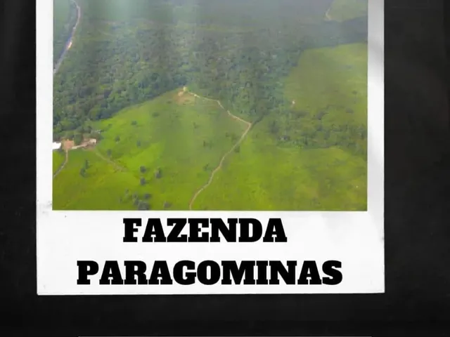 Imagem: Fazenda Paragominas Oportunidade Rara na