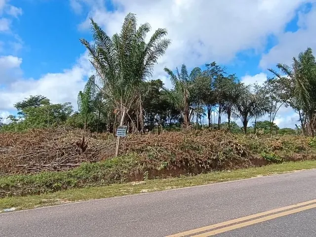 Imagem: Terreno À Venda na Rod. Pa-124 - Estrada