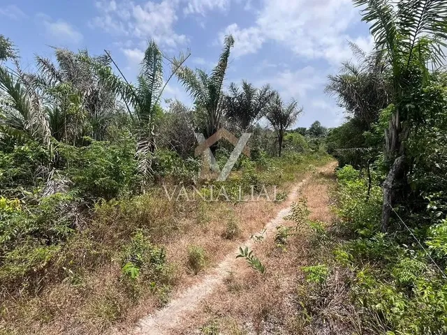 Imagem 4: Terreno em Km 60 - Salinópolis, Pa