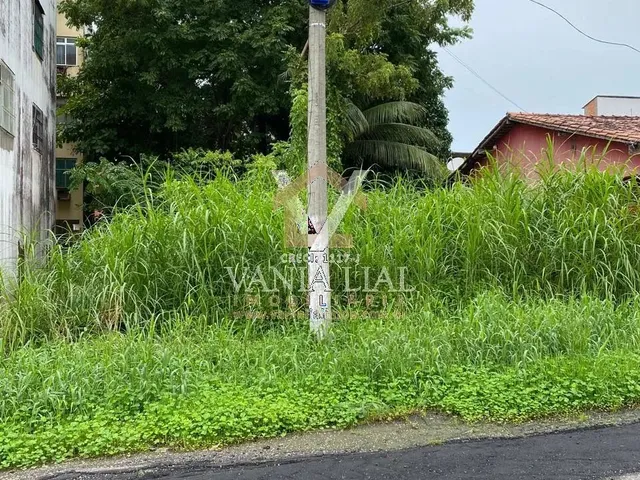 Imagem 13: Terreno em Taperinha - Salinópolis, Pa