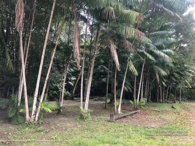 Imagem 3: Área com (250X400) 100.000 M². Confira !!