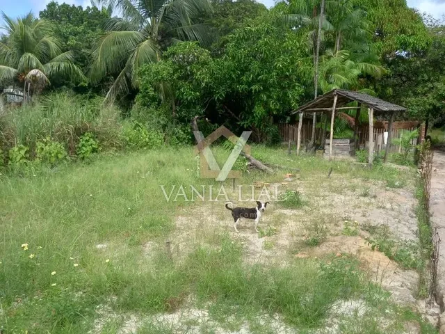 Imagem 4: Terreno em Bom Jesus II - Salinópolis, Pa