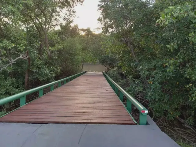 Imagem 7: Lote À Venda no Cond. Raízes em Salinas Cód. 3411