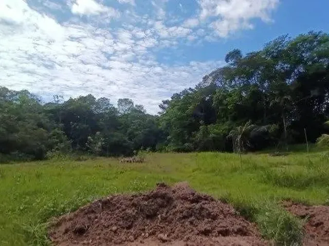 Imagem 3: Sítio com 15He em Marituba