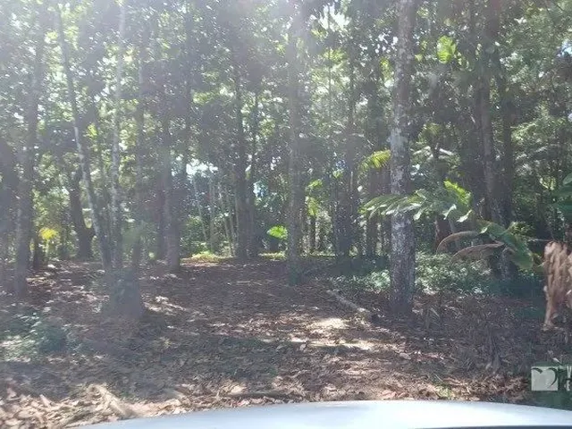 Imagem 2: Sítio com 15He em Marituba
