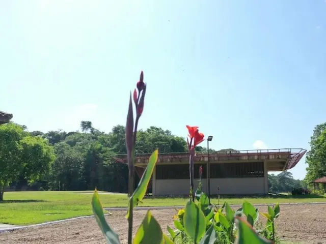 Imagem 7: Lote Condomínio Miriti - 2080M2