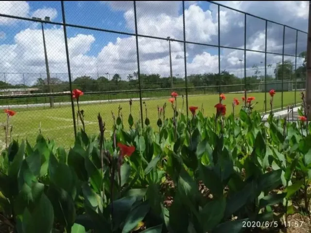 Imagem 4: Lote Condomínio Miriti - 2080M2