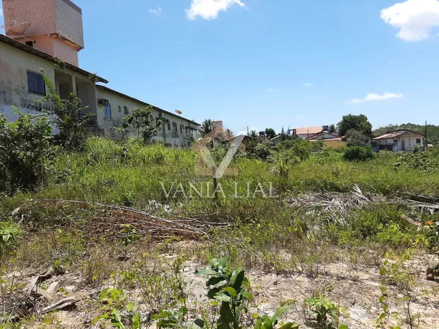 Imagem: Terreno em Destacado - Salinópolis, Pa