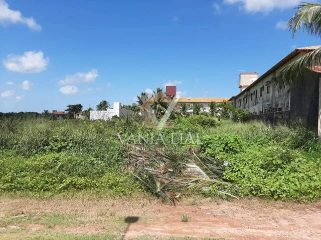 Imagem 3: Terreno em Destacado - Salinópolis, Pa