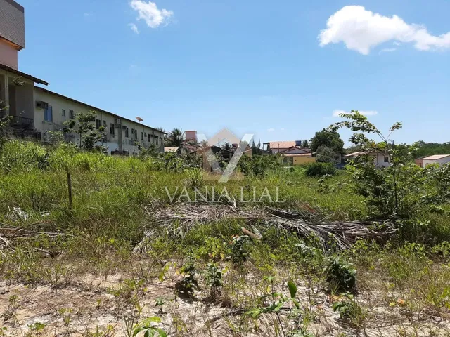 Imagem 7: Terreno em Destacado - Salinópolis, Pa