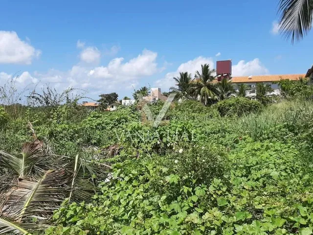 Imagem 8: Terreno em Destacado - Salinópolis, Pa