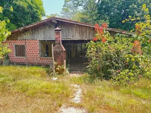 Imagem: Mf - Venda! Sítio Estrada de Mosqueiro