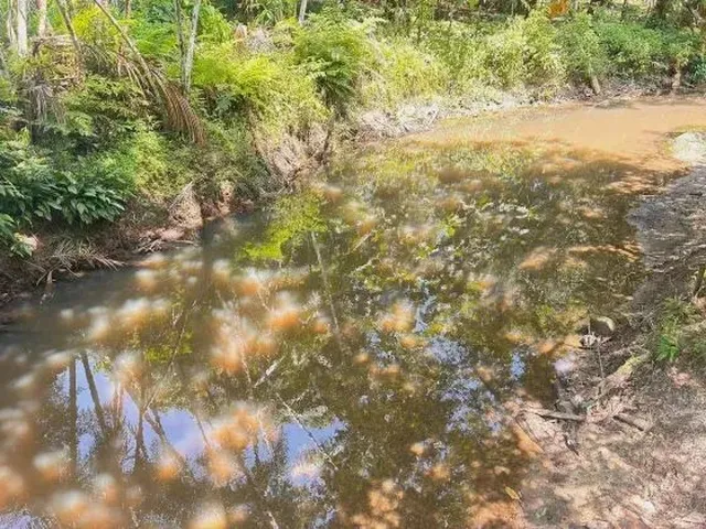Imagem 8: Mf - Venda! Sítio Estrada de Mosqueiro - Benevides