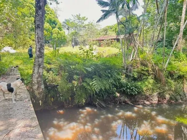 Imagem 5: Mf - Venda! Sítio Estrada de Mosqueiro - Benevides