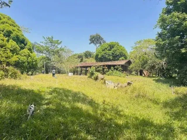 Imagem 7: Mf - Venda! Sítio Estrada de Mosqueiro - Benevides